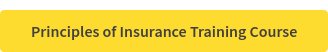 Principles of Insurance Training Course
