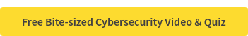 Free Bite-sized Cybersecurity Video & Quiz